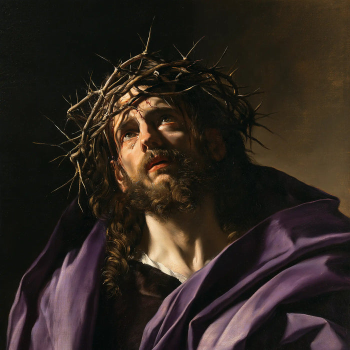 Jesus Crowned with Thorns — The Eyelid in the Cloak’s Shadow