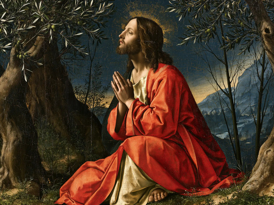 Jesus in Gethsemane — Palms in the Sunset Glow