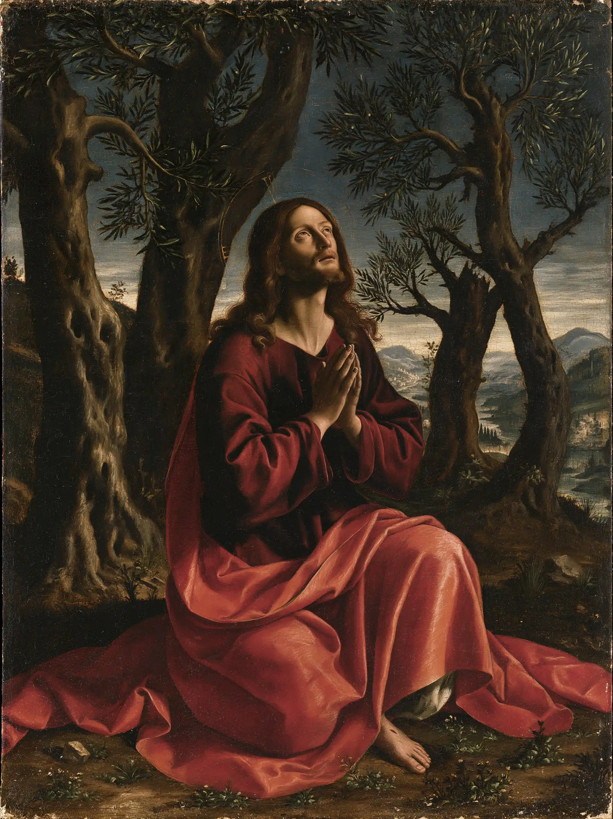 Jesus in Gethsemane — Rose in the Silence of Trees